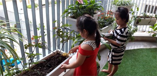 Các bé Mẫu giáo Nhỡ B3 hào hứng với việc chăm sóc cây xanh